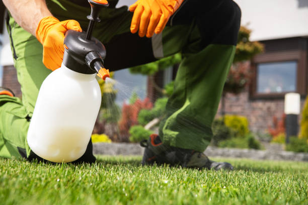Best Wildlife Control Services  in Millbury, OH