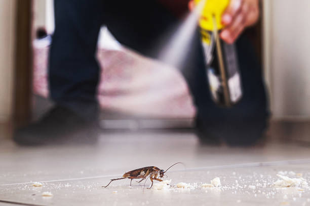 Best Cockroach Control Services  in Millbury, OH